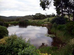 Carolins Organic Farm - Accommodation Rockhampton 1