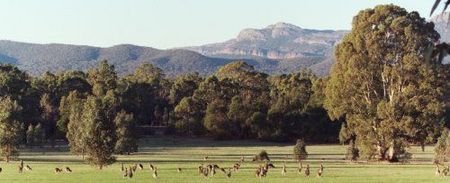 Wartook Gardens - Accommodation Rockhampton 1