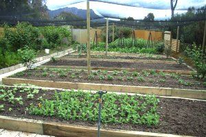 Wartook Gardens - Accommodation Rockhampton 3