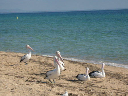 Arlingtons - Accommodation Rockhampton 2