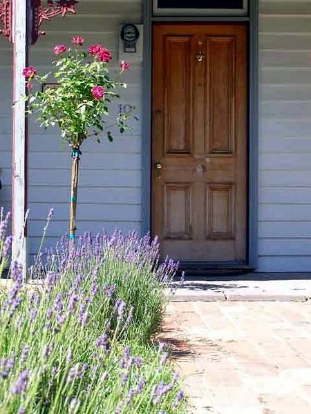 Airleigh - Rose Cottage - Accommodation Rockhampton 2
