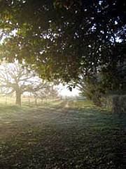 Corinella Country House - Accommodation Rockhampton 4