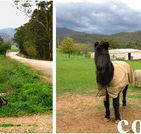 Emerald Park Holiday Farm - Accommodation Rockhampton