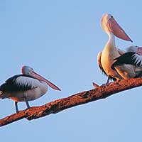 Matahari Houseboats - Accommodation Rockhampton 1