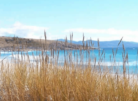 White Sands Estate - Accommodation Rockhampton