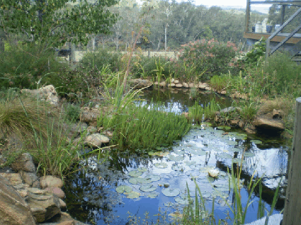 Crabapple Lane Bed & Breakfast - Accommodation Rockhampton 2