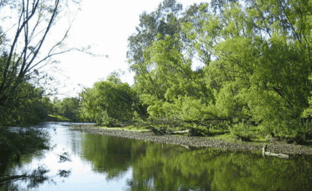 Ribbonwood Cottages - Accommodation Rockhampton 0