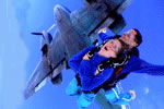 Simply Skydive - Accommodation Rockhampton 2