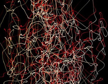 Eleven40 Gallery - Accommodation Rockhampton 1