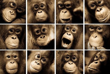 Eleven40 Gallery - Accommodation Rockhampton 3