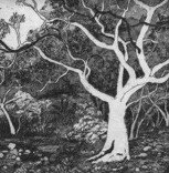 Tacit Contemporary Art - Accommodation Rockhampton 0