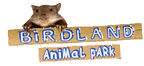 Birdland Animal Park - Accommodation Rockhampton 0