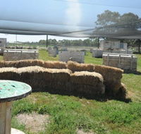 We Are Paintball - Accommodation Rockhampton