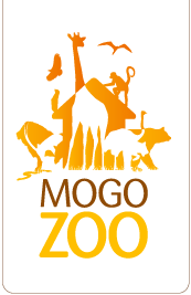 Mogo Zoo - Accommodation Rockhampton 0