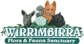 Wirrimbirra Sanctuary - Accommodation Rockhampton 0