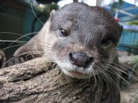 Underwater World - Accommodation Rockhampton 1