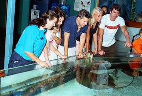 Underwater World - Accommodation Rockhampton 3