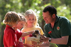 Cleland Wildlife Park - Accommodation Rockhampton 0