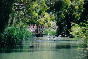 Cleland Wildlife Park - Accommodation Rockhampton 1
