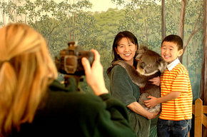 Cleland Wildlife Park - Accommodation Rockhampton 2