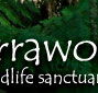 Warrawong Wildlife Park - Accommodation Rockhampton