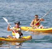 Manly Kayaks - Accommodation Rockhampton