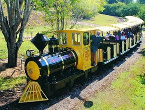 The Big Pineapple - Accommodation Rockhampton 1