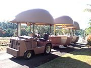 The Big Pineapple - Accommodation Rockhampton 2