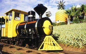 The Big Pineapple - Accommodation Rockhampton 3