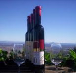 Mount Tamborine Winery  Homestead - Accommodation Rockhampton