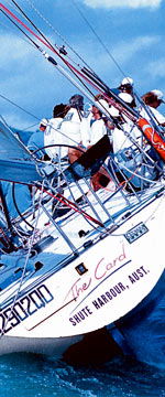 Koala Adventures - Accommodation Rockhampton 1