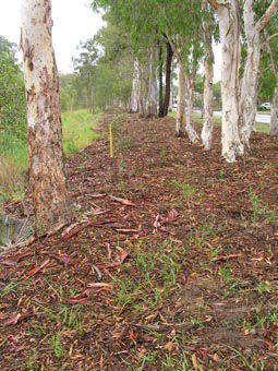Kumbartcho Sanctuary - Accommodation Rockhampton 1