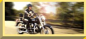 Easy Rider - Accommodation Rockhampton 1