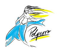 Polperro Dolphin Swims - Accommodation Rockhampton 0