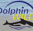 Dolphin Wild - Accommodation Rockhampton