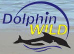 Dolphin Wild - Accommodation Rockhampton 0