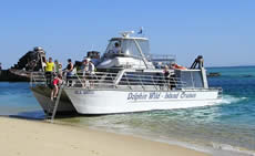 Dolphin Wild - Accommodation Rockhampton 2