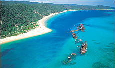 Dolphin Wild - Accommodation Rockhampton 3