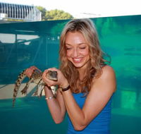 Crocosaurus Cove - Accommodation Rockhampton