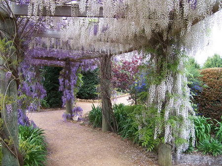 Abingdon Miniature Village - Accommodation Rockhampton 0