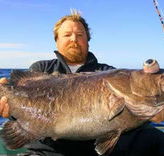 Bravo Fishing Charters - Accommodation Rockhampton