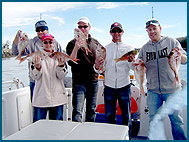 Odyssey Charters - Accommodation Rockhampton 2