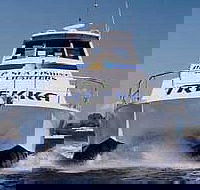 Sunshine Coast Fishing Charters - Accommodation Rockhampton