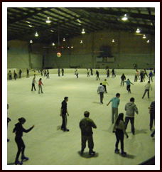Bendigo Ice Stadium - Accommodation Rockhampton 1