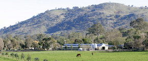 Blue Gum Farm - Accommodation Rockhampton 1
