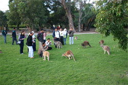 Caversham Wildlife Park - Accommodation Rockhampton 2