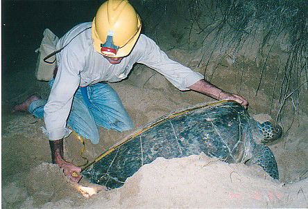 Footprints Adventures - Accommodation Rockhampton 2