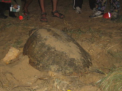 Footprints Adventures - Accommodation Rockhampton 3