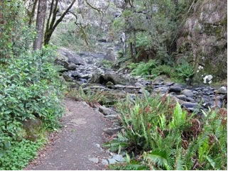 Stevensons Falls - Accommodation Rockhampton 1