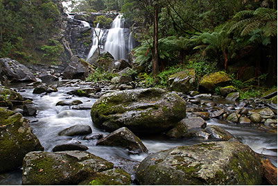 Stevensons Falls - Accommodation Rockhampton 2
